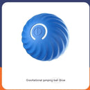 Canine Playtime Rubber Ball