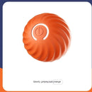 Canine Playtime Rubber Ball