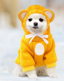 Modern Pet Sweaters