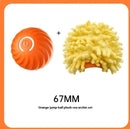 Canine Playtime Rubber Ball