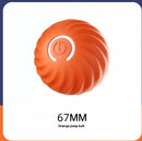 Canine Playtime Rubber Ball