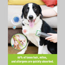 Daski Vkiskli Pet Grooming Combo